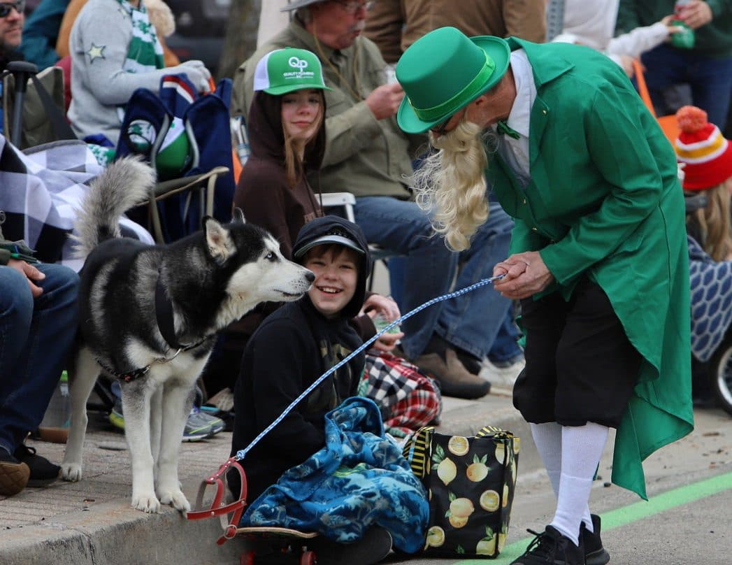 A man dressed as a leprechaun greets a girl and her husky at the curb